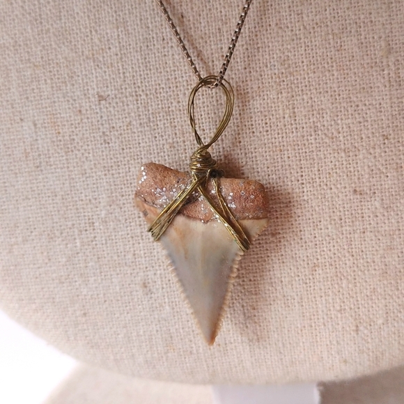 Jewelry - Shark Tooth Pendant Necklace